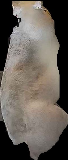 Crop