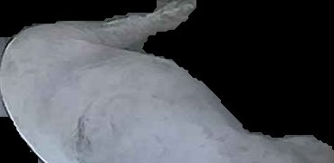 Crop
