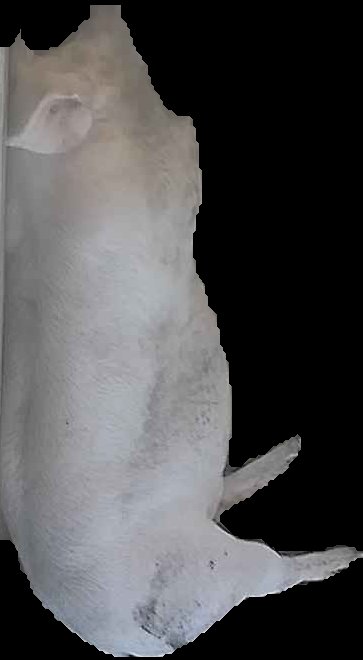 Crop