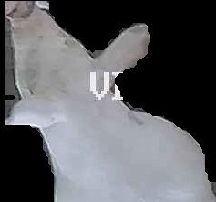 Crop