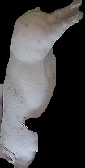 Crop