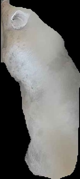 Crop