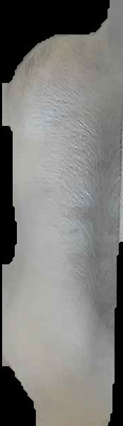 Crop