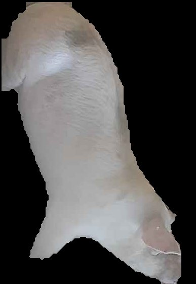 Crop