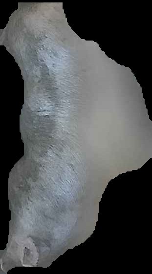 Crop
