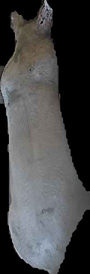 Crop