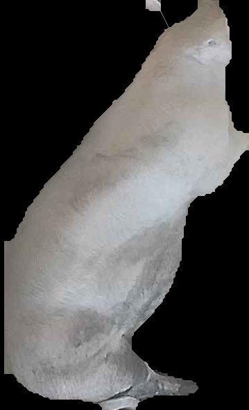 Crop