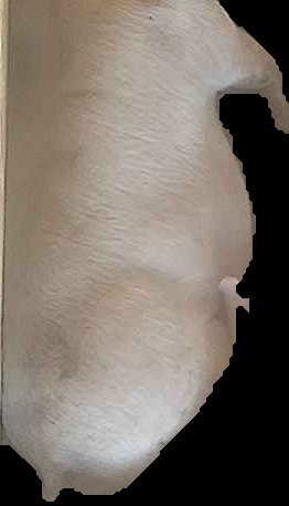 Crop
