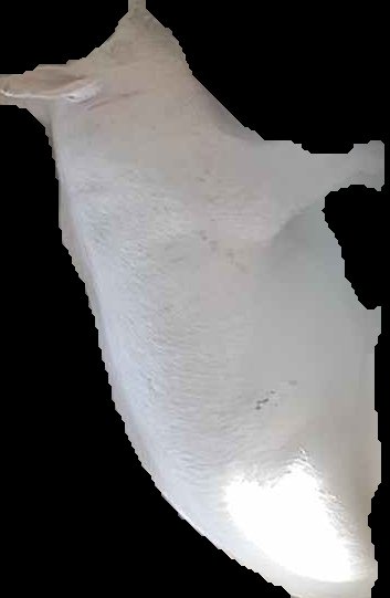Crop