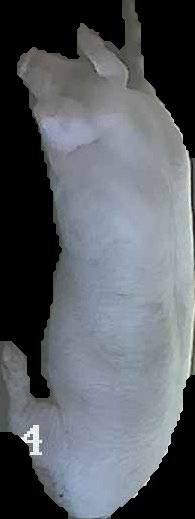 Crop