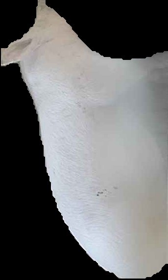 Crop