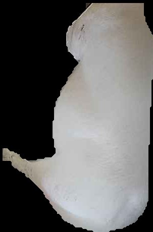 Crop
