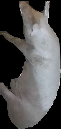Crop
