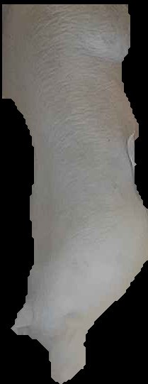 Crop