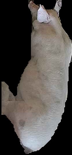 Crop
