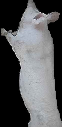 Crop