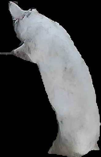 Crop