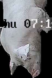 Crop