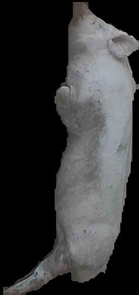 Crop