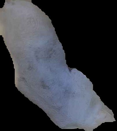 Crop