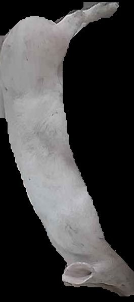 Crop