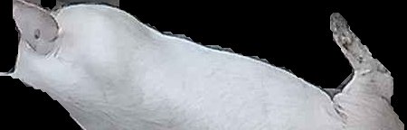 Crop