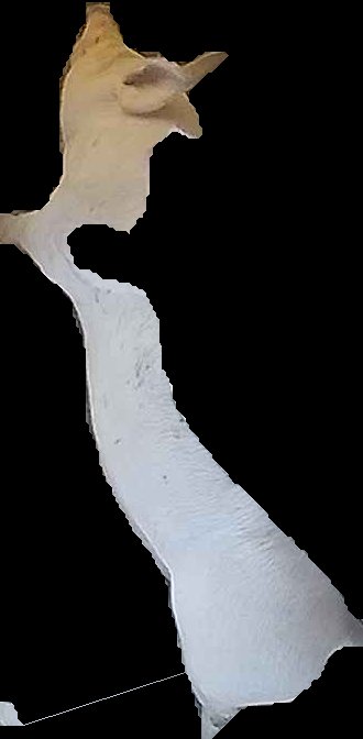 Crop