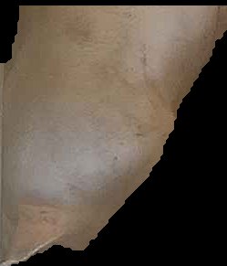 Crop