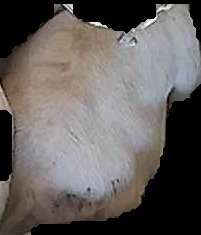 Crop