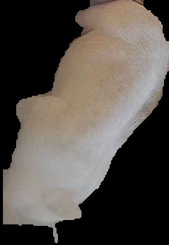 Crop