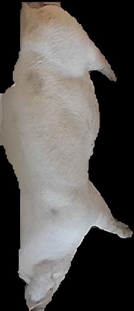 Crop