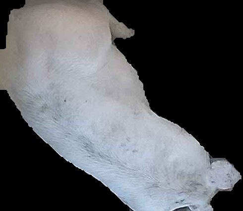Crop