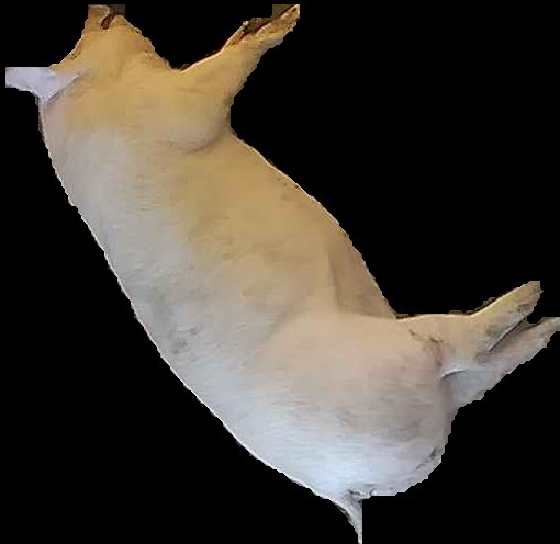 Crop