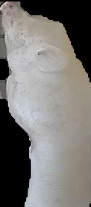 Crop
