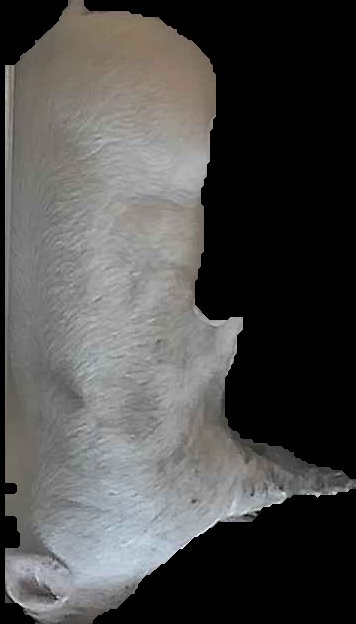 Crop