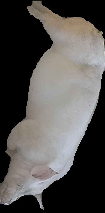 Crop