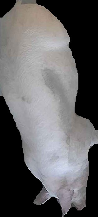 Crop