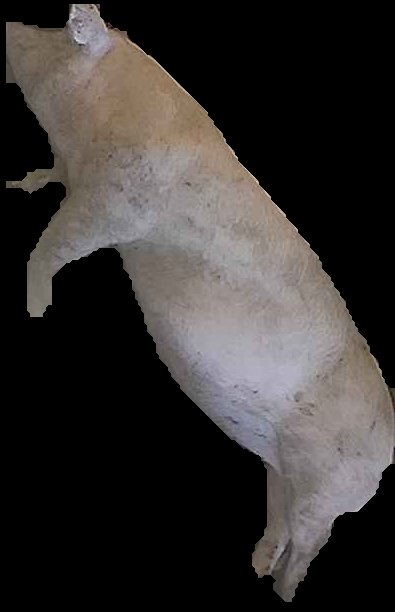 Crop