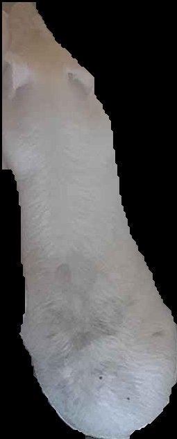 Crop