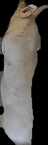 Crop