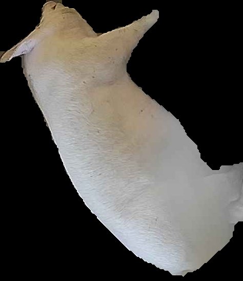 Crop
