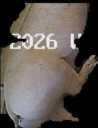 Crop