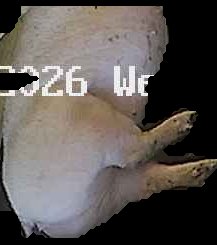 Crop