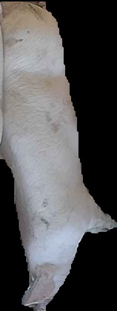 Crop