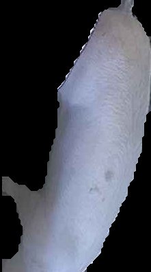Crop