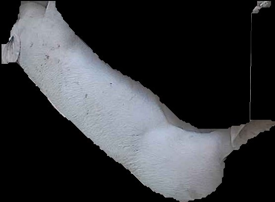 Crop
