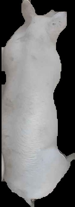 Crop