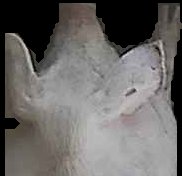 Crop