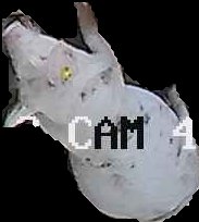 Crop