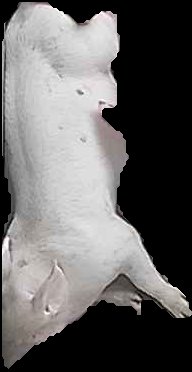 Crop